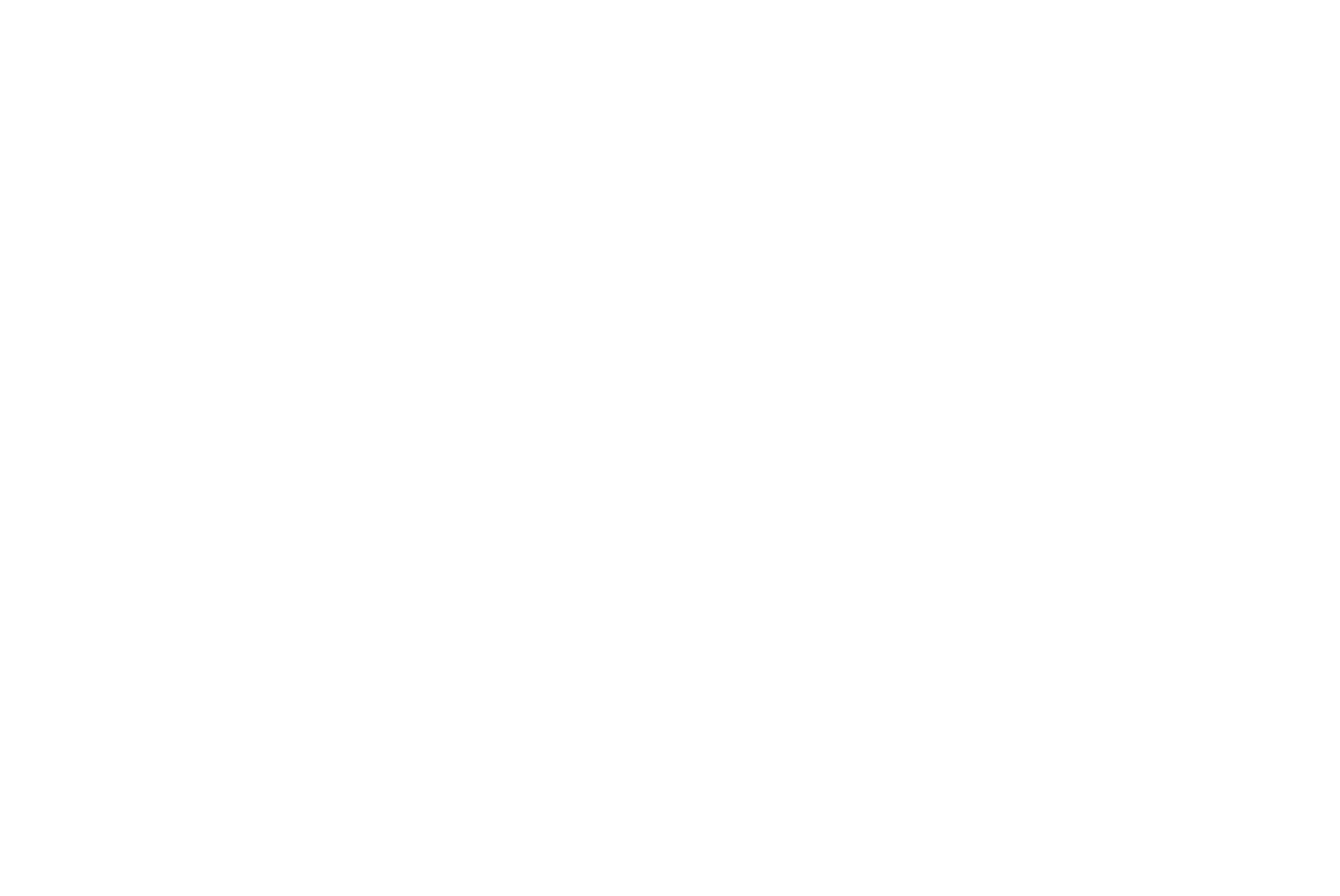 Logo Steve mccurty