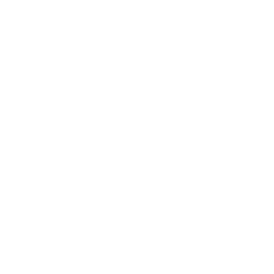 Max - logo
